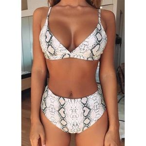 Gray Snake Skin Animal Print 2 pc Bikini